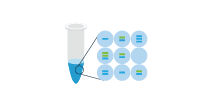 digital PCR