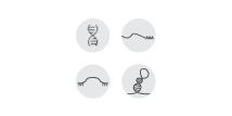 nucleic acid extraction