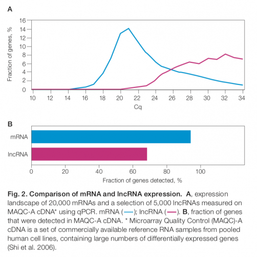 Comparison of mRNA and lncRNA expression